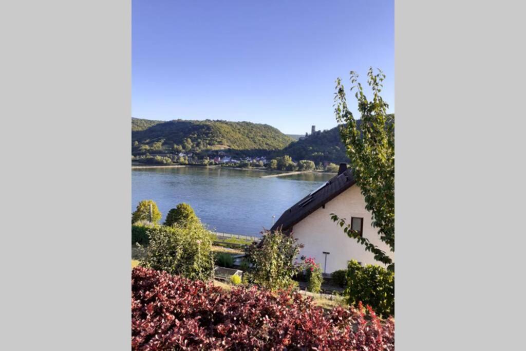Lorch Lorchhausen Mittelrheintal Weltkulturerbe Διαμέρισμα Lorch am Rhein Εξωτερικό φωτογραφία